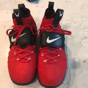 Lebron 15 diamond turf